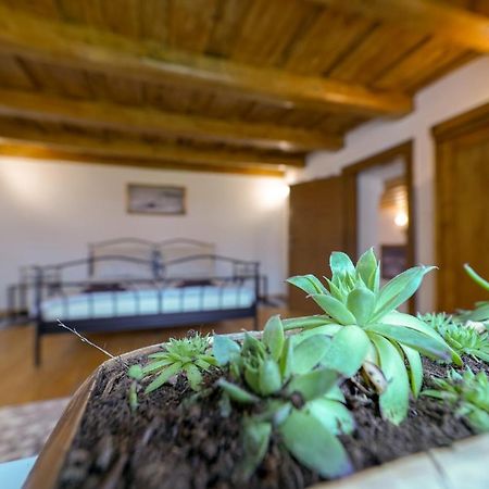 Historicky Dom Kezmarok Villa Bagian luar foto
